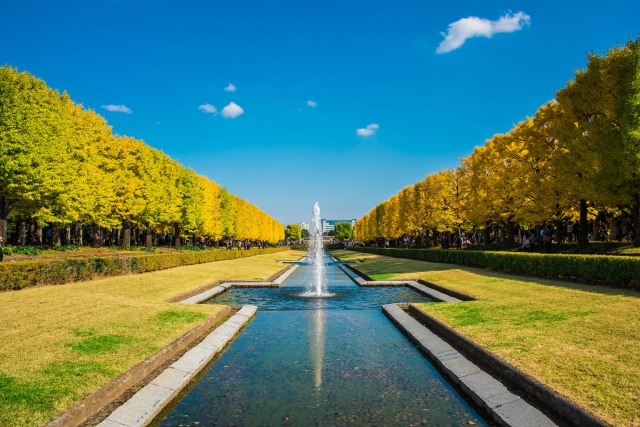 国営昭和記念公園