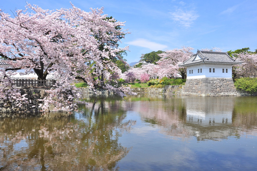 小田原城公園